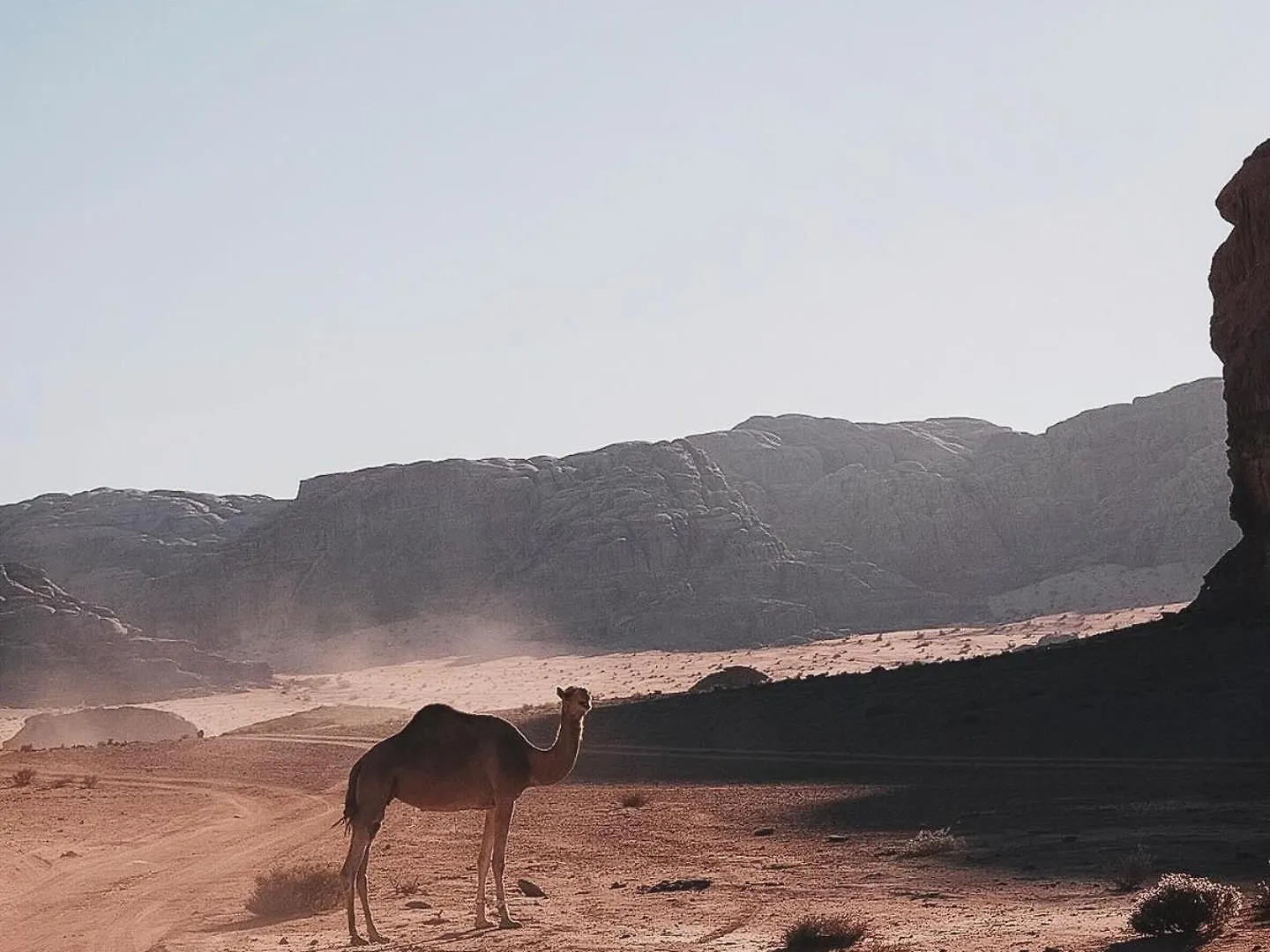 Wadi Rum صحراء وادي رم Akaba Apartament