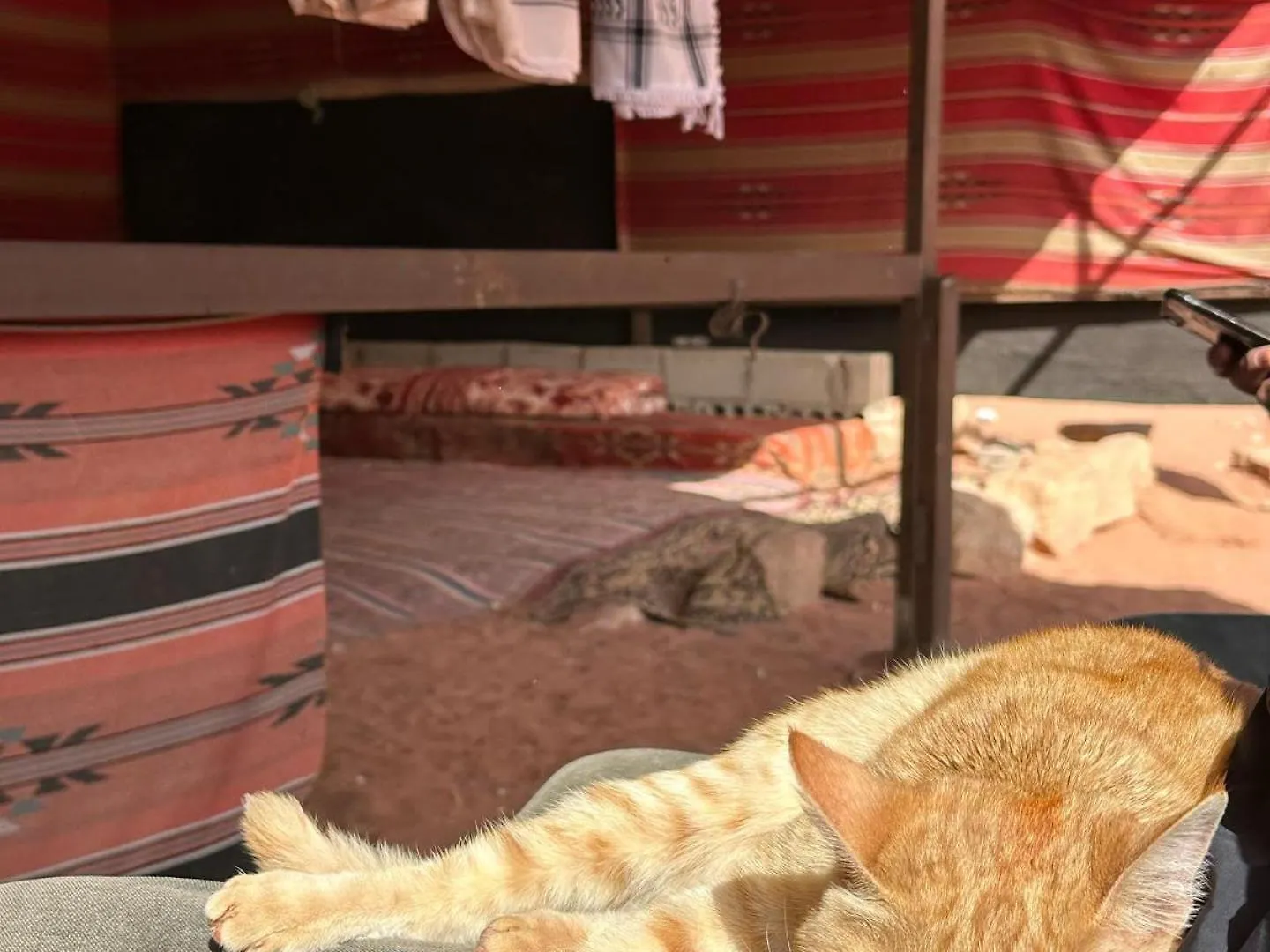 Apartament Wadi Rum صحراء وادي رم Akaba