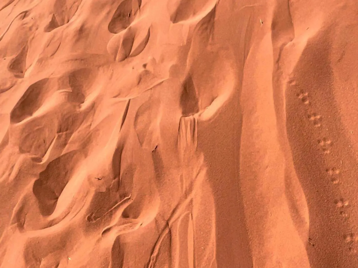 Wadi Rum صحراء وادي رم Akaba Apartament